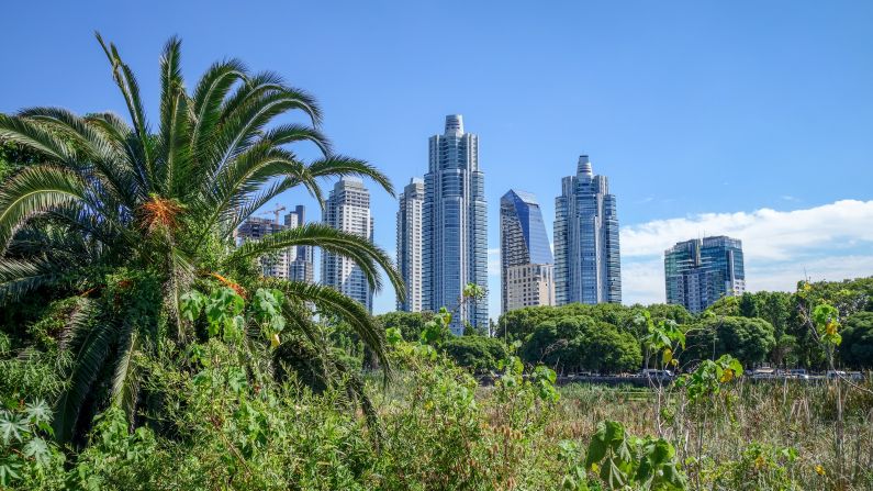 March in Buenos Aires: Take in the Buenos Aires cityscape with a view from the Costanera Sur Ecological Reserve, where you may spot parrots, swans and other birds.